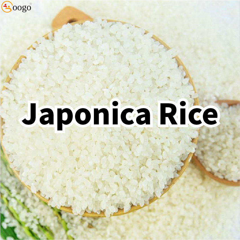 Japonica rice